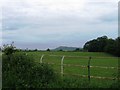 Looking south from Bank Lane