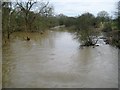 River Colne: Inundation at North Mymms