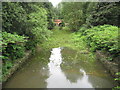 River Colne: High water level at North Mymms