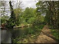 Basingstoke Canal near New Haw