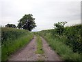 SJ4351 : Path near Castletown by Jeff Buck