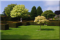 NZ1221 : East garden, Raby Castle by Ian Taylor