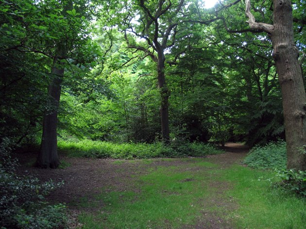 Path, Queen's Wood, near Muswell Hill © Julian Osley :: Geograph ...