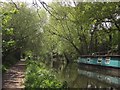 Basingstoke Canal near Woodham