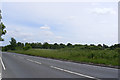 TM1338 : A137 looking towards Ipswich & footpaths by Geographer