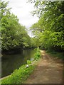 Basingstoke Canal