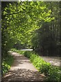 Basingstoke Canal near Woodham