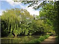 Basingstoke Canal near Woodham