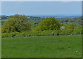 View across the Charnwood Forest countryside