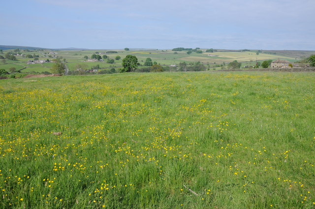 Farmland at Fellbeck