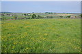 Farmland at Fellbeck