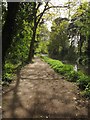 Towpath, Basingstoke Canal