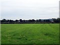 Footpath to Wetreins