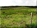 Creggandevesky Townland