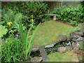 Stream in Garden in Halfhides, Waltham Abbey, Essex