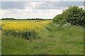 Footpath to Saxby Cliff Road