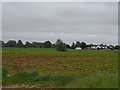 Houses on Stortford Road