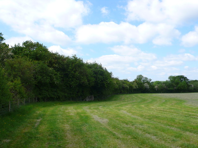 Grassland near Binton Brook