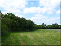 SP1554 : Grassland near Binton Brook by Nigel Mykura