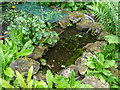 Garden Pond in Halfhides, Waltham Abbey, Essex