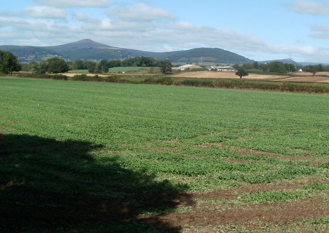 Field near Llanellen Bridge
