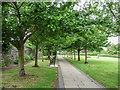 Path behind the Walled Garden, Waltham Abbey, Essex