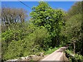 Lane near Furley