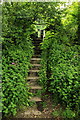 SD2288 : Footpath steps and stile by Rob Noble