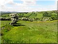 Glencoppogagh Townland