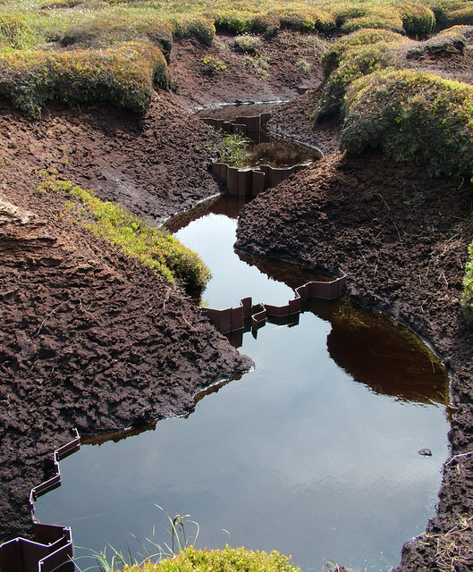 Peat Bog Conservation © Stephen Burton :: Geograph Britain And Ireland