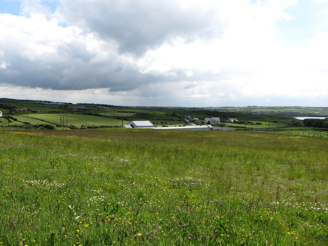 View across a natural meadow to the terminus of the Giant's Causeway and Bushmills Railway