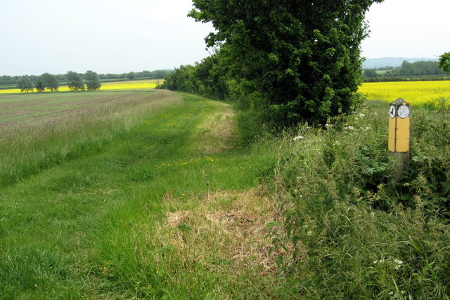 Bridleway to Corn Fields