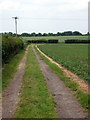 Power lines by the footpath