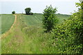 TL0736 : Farm Track by Philip Jeffrey