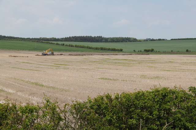 Agricultural landscape near Scremerston