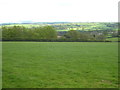 Field near Tutwell