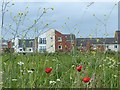 Alexandra Gate Housing, Newport