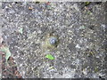 Ordnance Survey Rivet