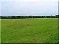 Rugby Ground, Thornton Common Road