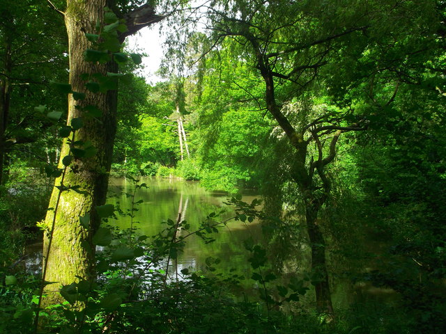 Fishing Lake in Broomland Wood