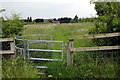 Path to Limbersey Lane