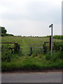 Footpath to Maulden