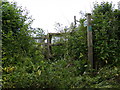 Footpath to Wangford Road