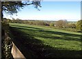 Meadow below Readshill Farm