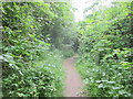 Footpath adjacent to Airbus Technical Centre on Filton airfield