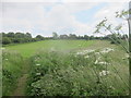 Footpath onto the Northern perimeter of Filton Golf Club course