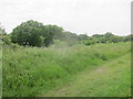 Footpath beside railway on Charlton Common