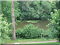 Ham Green freshwater fishing lake