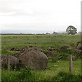 Cleared boulders