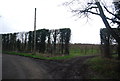 Footpath off Sheerwater Rd